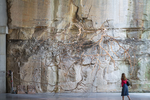 Waterbirds: Migratory Sound Flow