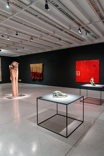 Photographic Record of the Exhibition Light = Matter