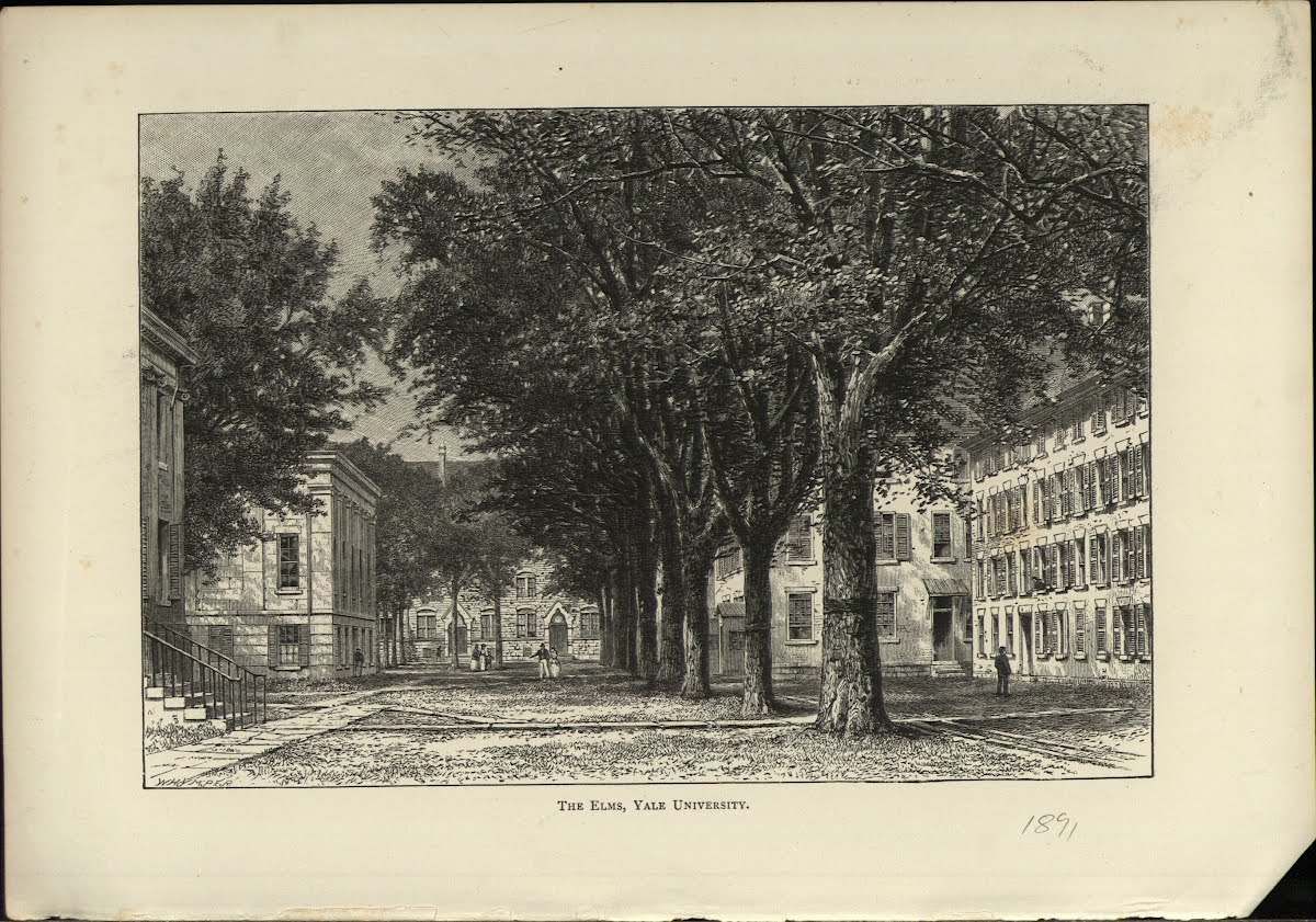 Edu Univ. Amer