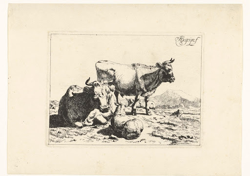 Staande stier en liggende koe met schaap