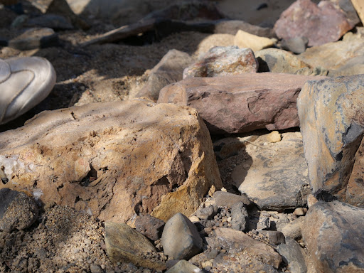 Turkana Landscapes, Petrified Forest 5