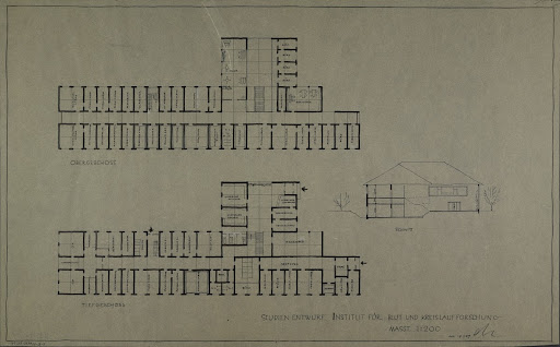 STUDY DESIGN INSTITUTE FOR BLOOD AND CARDIOVASCULAR RESEARCH (Berlin-Buch, floor plans and section)