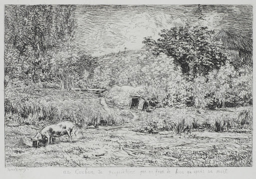 The pig in an orchard