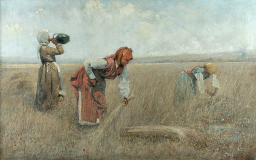 Harvest in Chepinsko