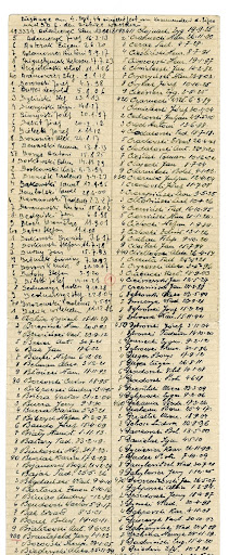 Przykładowa strona numerowo-nazwiskowego spisu mężczyzn i chłopców przywiezionych do Auschwitz z obozu w Pruszkowie 4 września 1944 r.