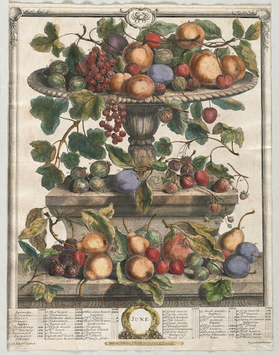 Twelve Months of Fruit: June