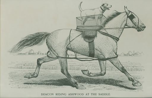 Deacon Riding Ashwood at the Saddle