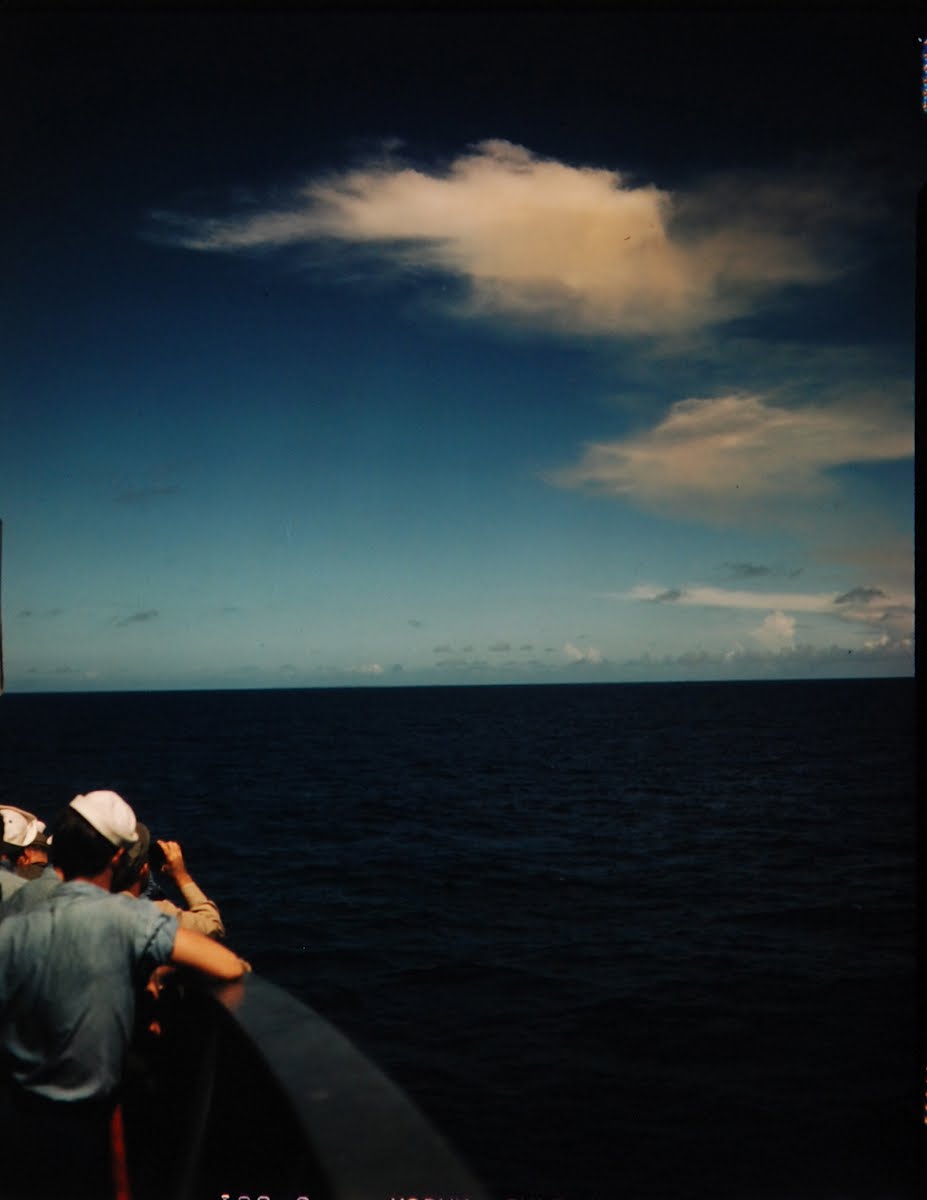 Atomic Bomb Blast, Effects Of Radiation On Animals, Fish Etc.