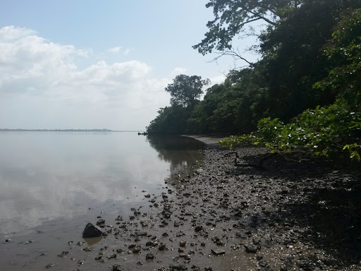Beach at Bunce Island