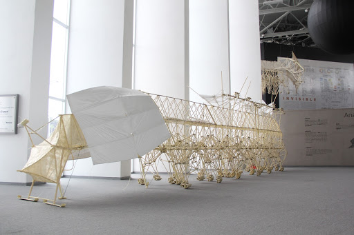 Omnia Nasal Hammer Perspective