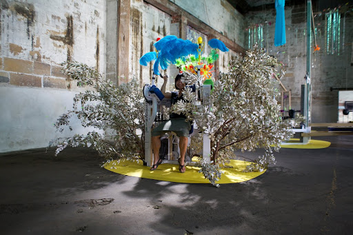 Bush Power Bush Power