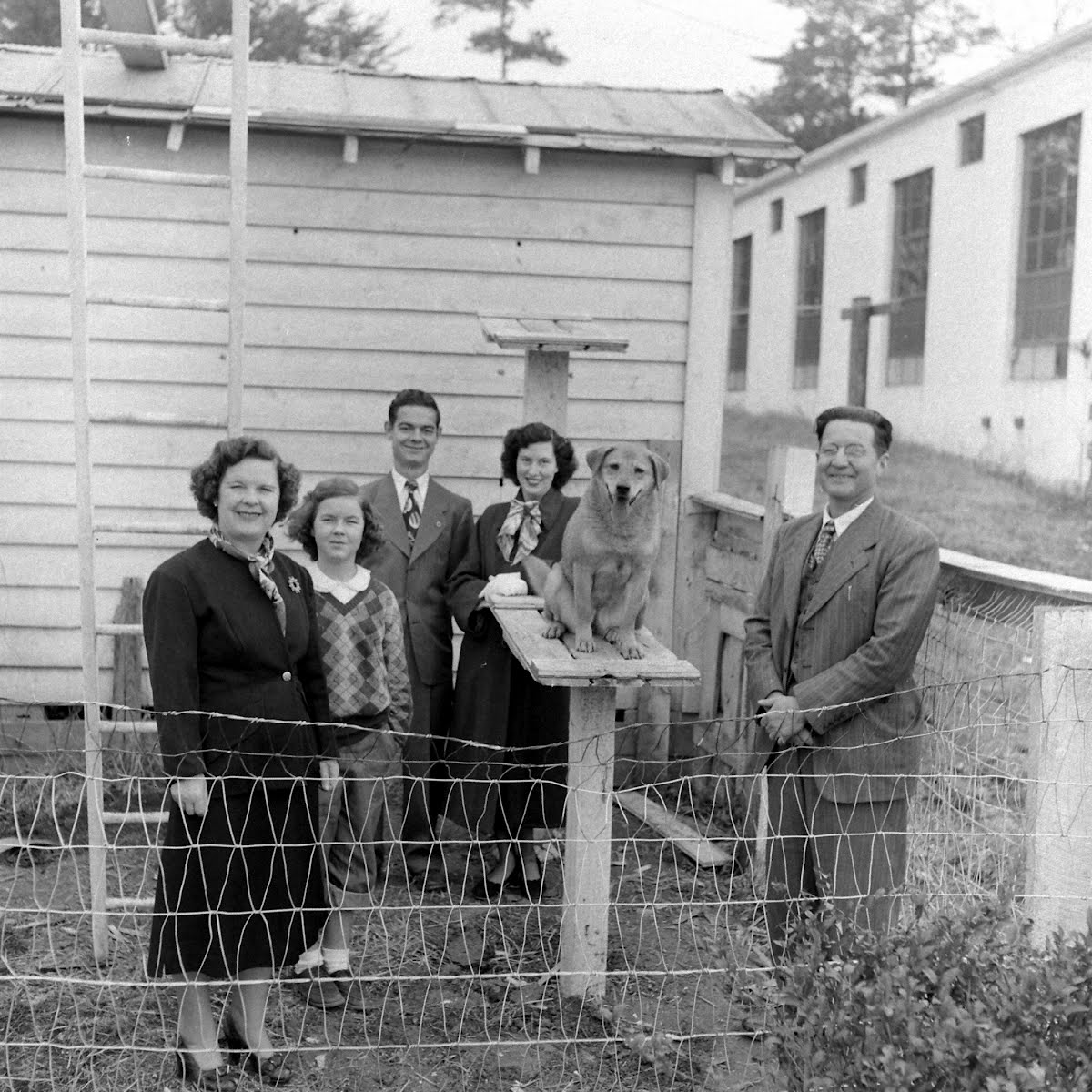 Flagpole Sitting Dog, Greensboro, N.C.