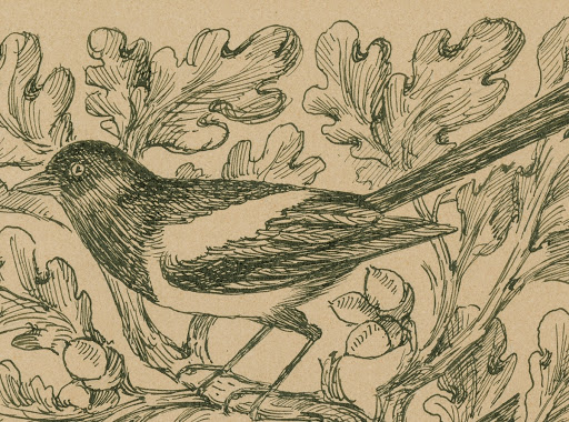 Detail of Magpie Madrigal Society Design