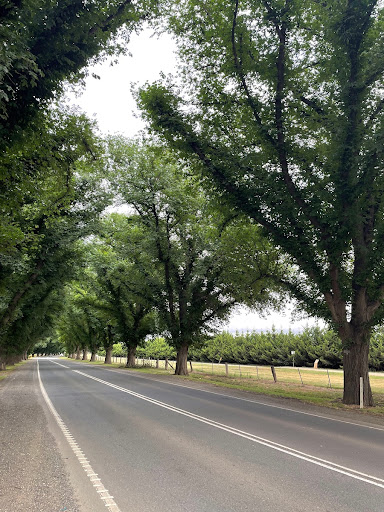 Bacchus Marsh Avenue of Honour