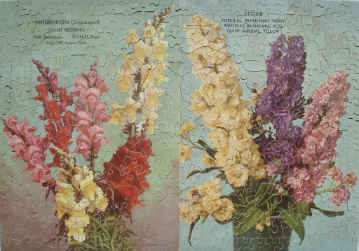 Jigsaw puzzle:Snapdragons and Stock