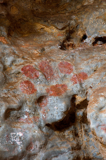 Paw of Jaguar in the lair of jaguar