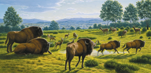 Upper Palaeolithic paleoenvironment illustration