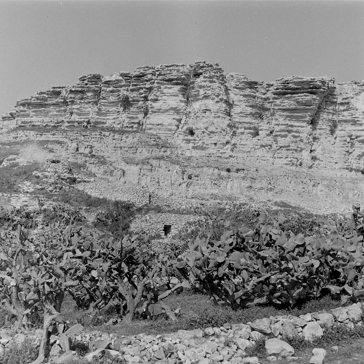 Tunisia