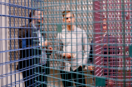 Mobile colum shadows