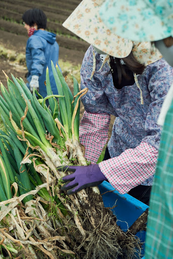 森の国　農業体験