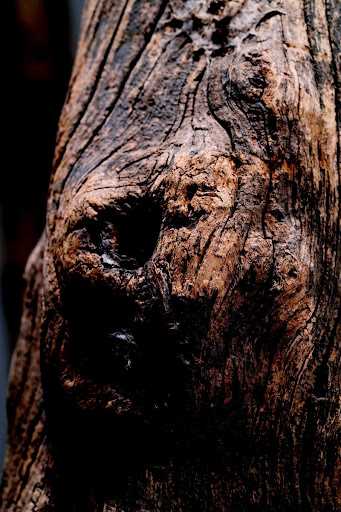 Jitu Land,The scenes of daily life of the Neo-Asian (Detail),Spiling