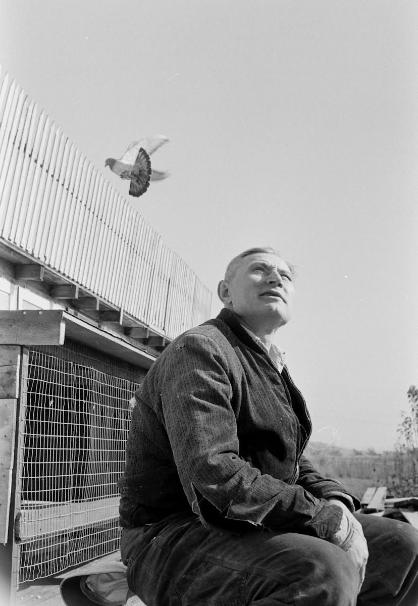 Steelworker Andy Lopata For Year End Issue