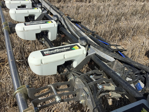 Spray cameras to seek out weeds