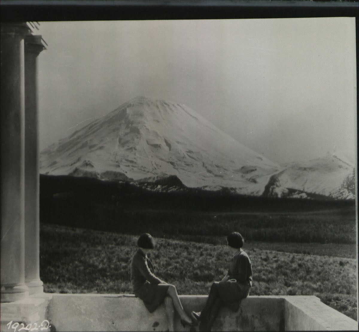 Top New Zealand Alps