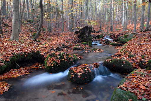 The creek in Stolowe Mountains