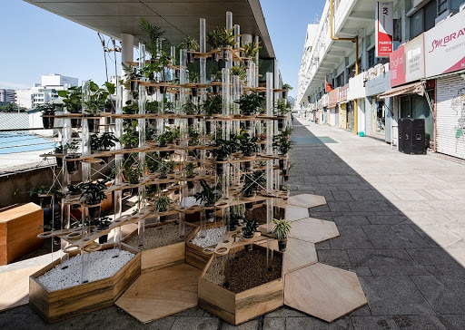 CUPLOWER UAUS: University of Seoul