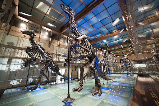 Trop fragiles pour une autre position