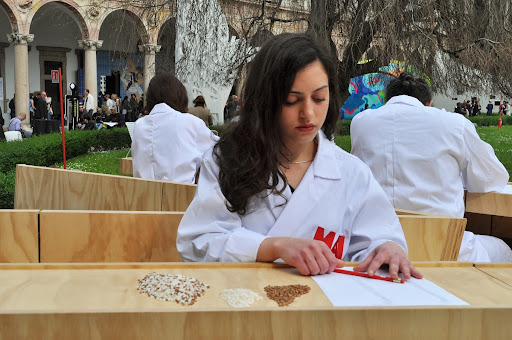 Wooden Counting the Rice Table (Installation Milan)