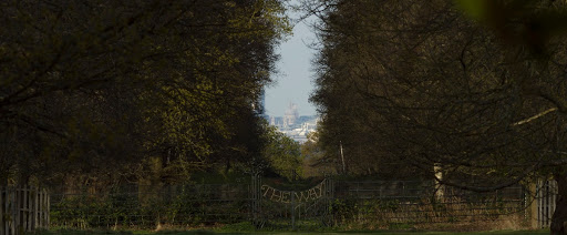 View towards St Paul's Cathedral from King Henry VIII's Mound, Richmond Park, Greater London