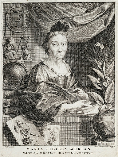 Maria Sibilla Merian