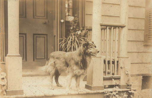 Jack on porch of Satterly house 1899