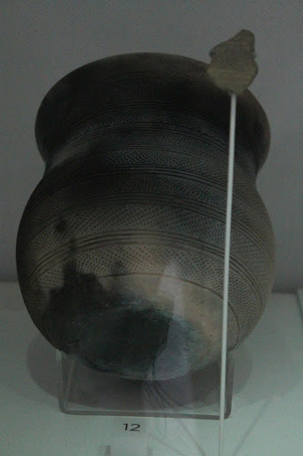 Cerámica campaniforme de Portalón