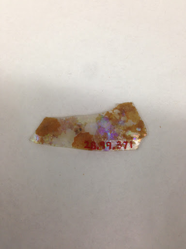 Fragment