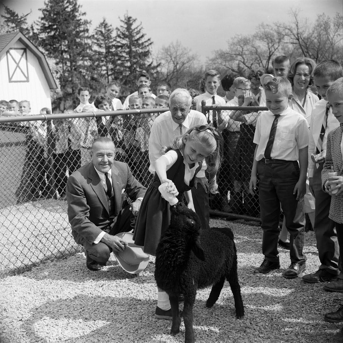 George P. Vierheller, Director Of St. Louis Zoo