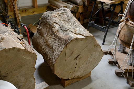 鳥取和太鼓《欅ー胴の材料》