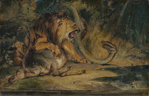 Lion Defending its Prey