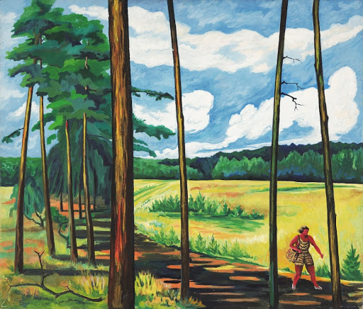 Märkische Heide / Zechliner Hütte