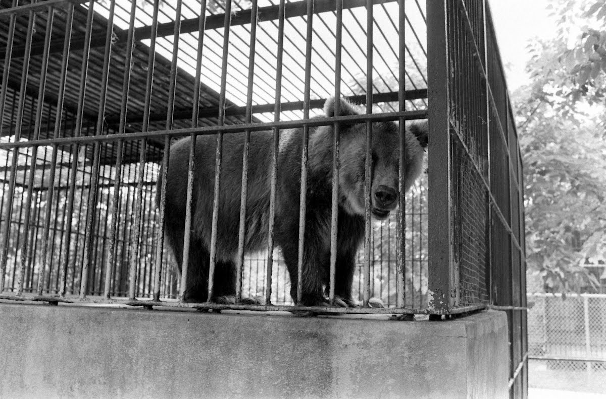 Audubon Zoo-New Orleans, La.