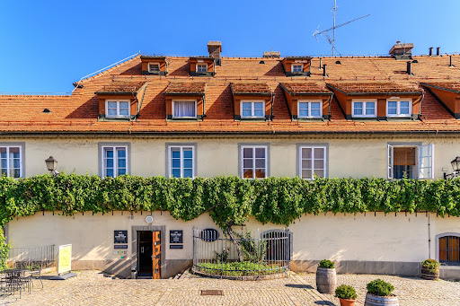 Old Vine House in Maribor