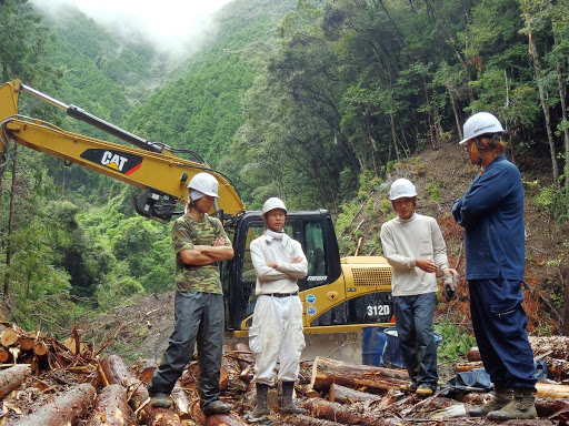 more trees forest Nakatosa Kochi