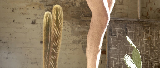 Still from Helen Plumb's 'A Prickly Subject'