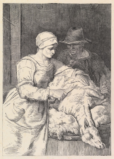 The Sheepshearer
