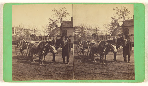 [One of the Teams] (Full Front)