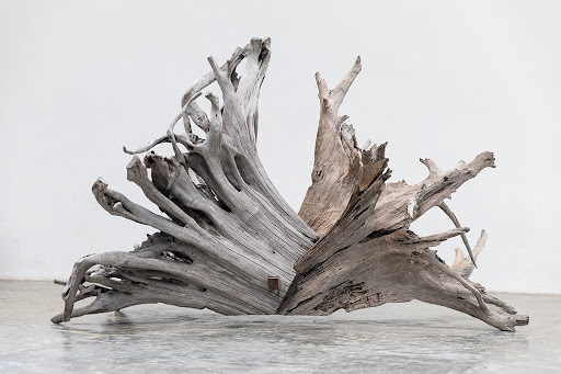 Sete Raízes (Martin)