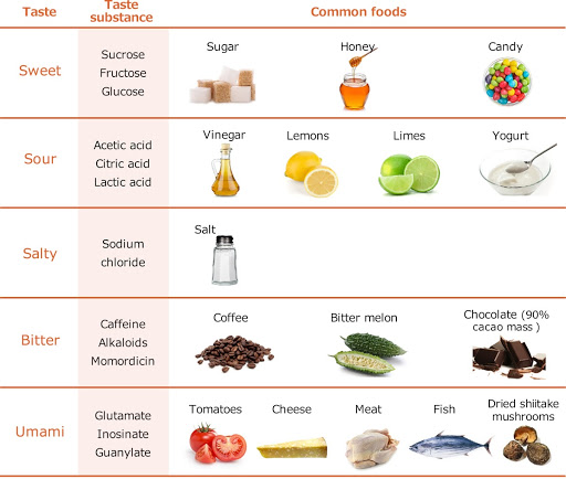 基本味の代表的な食材・味物質 基本味の代表的な食材・味物質