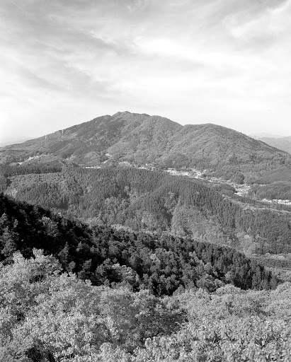Gwangneung Forest and the Korea National Arboretum